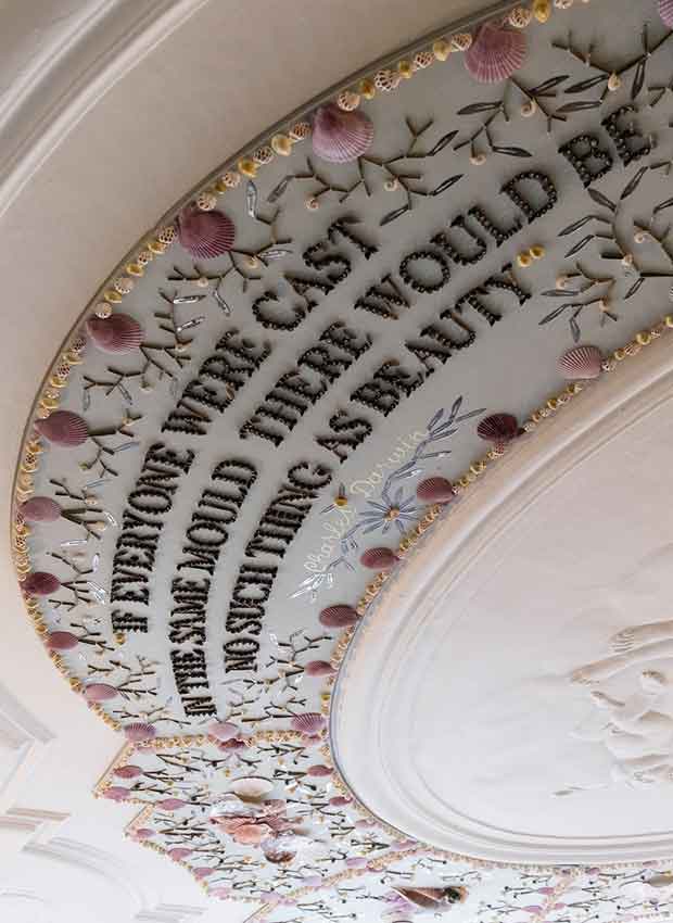 Art Zoo Museum plafond met spreuk van Darwin